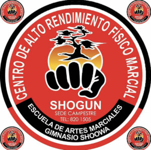 ESCUELA DE ARTES MARCIALES GIMNASIO SHOOWA