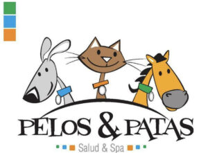 PELOS Y PATAS – CLINICA 24 HORAS